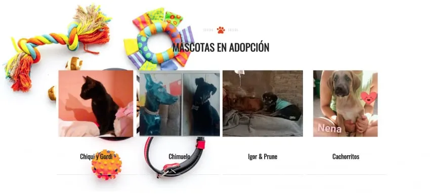 Sección de mascotas en adopción de Rescatalos