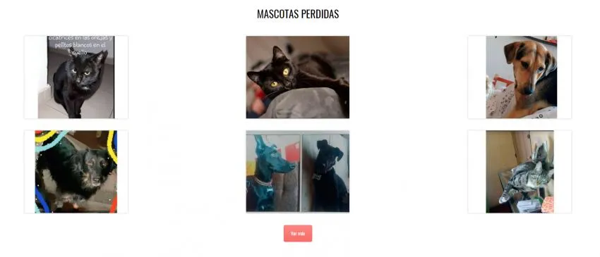 Sección de mascotas perdidas de Rescatalos
